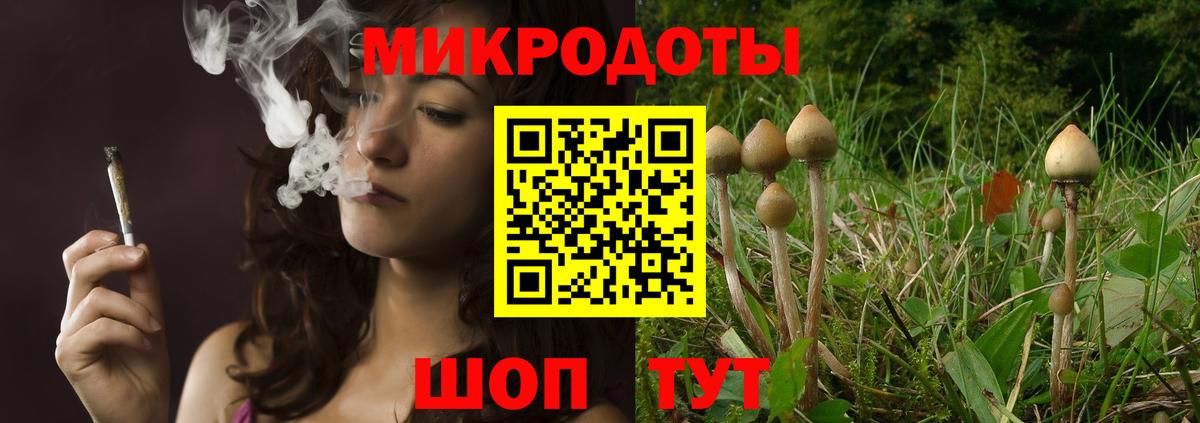 Углич  Псилоцибиновые грибы GOLDEN TEACHER  Вход с VPN 